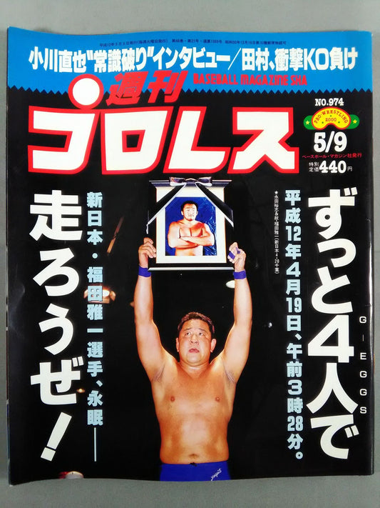 Weekly Pro Wrestling 974