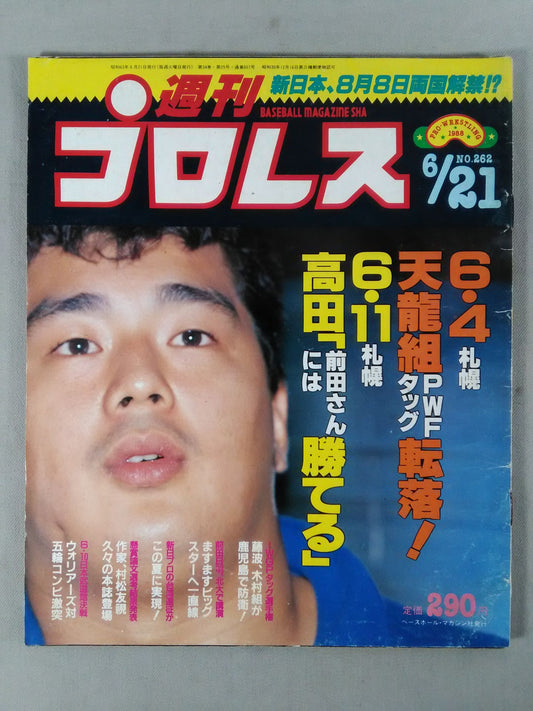週刊プロレス262