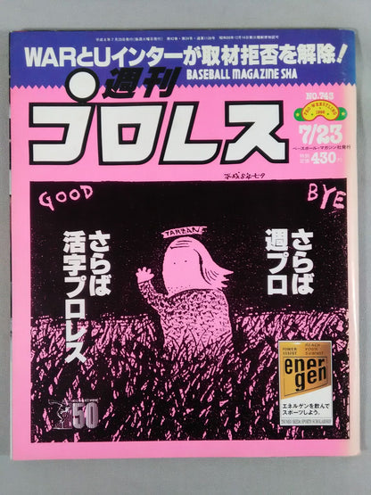 Weekly Pro Wrestling 743