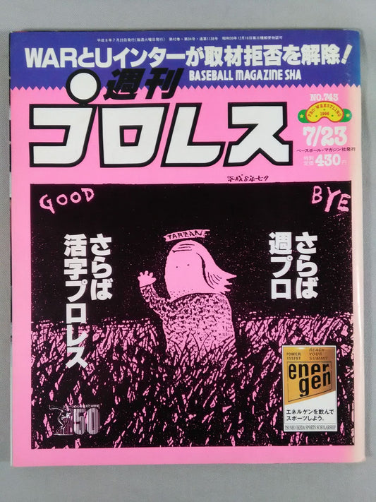 Weekly Pro Wrestling 743