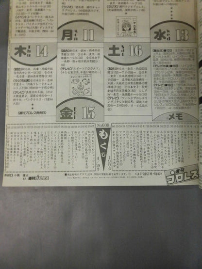 週刊プロレス608