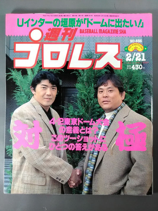 Weekly Pro Wrestling 656