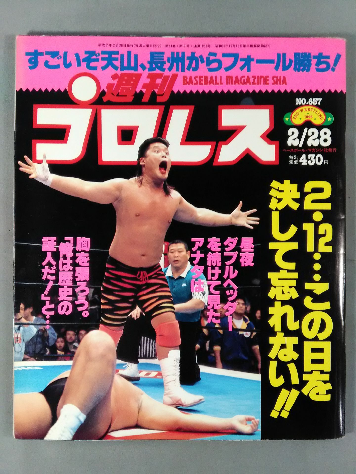Weekly Pro Wrestling  657