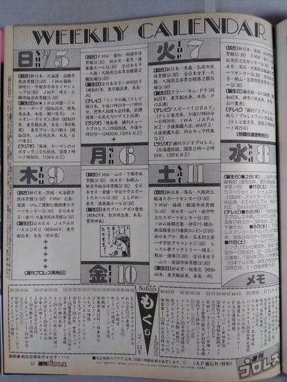 週刊プロレス655