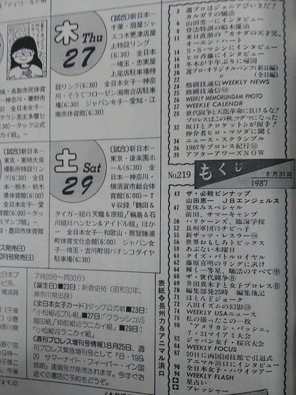 Weekly Pro Wrestling 219