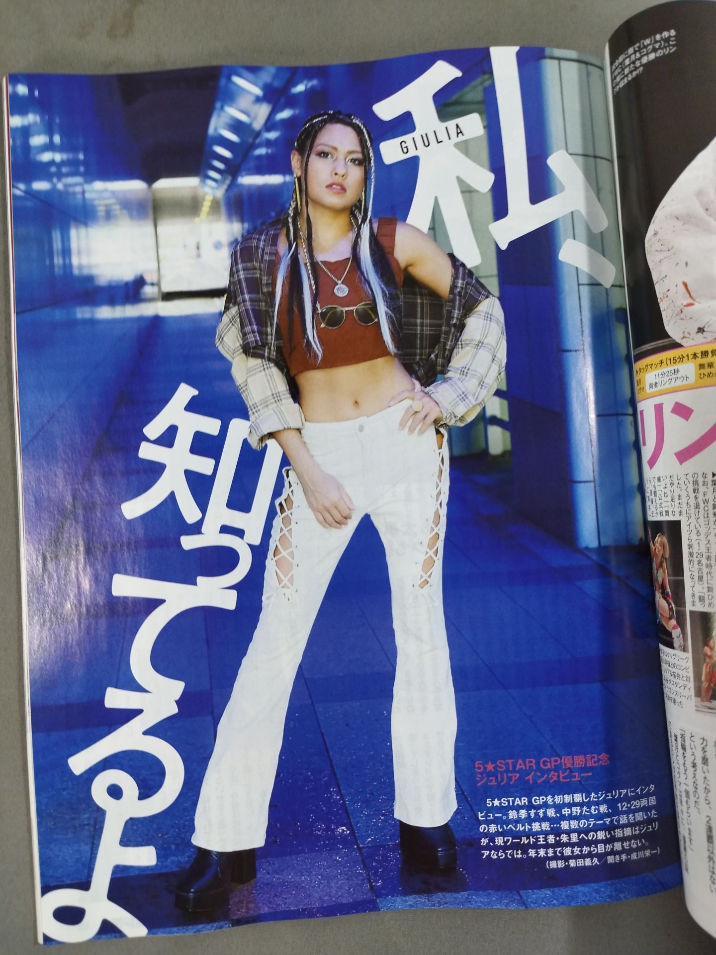 Weekly Pro Wrestling 2209