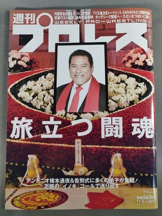 Weekly Pro Wrestling 2211