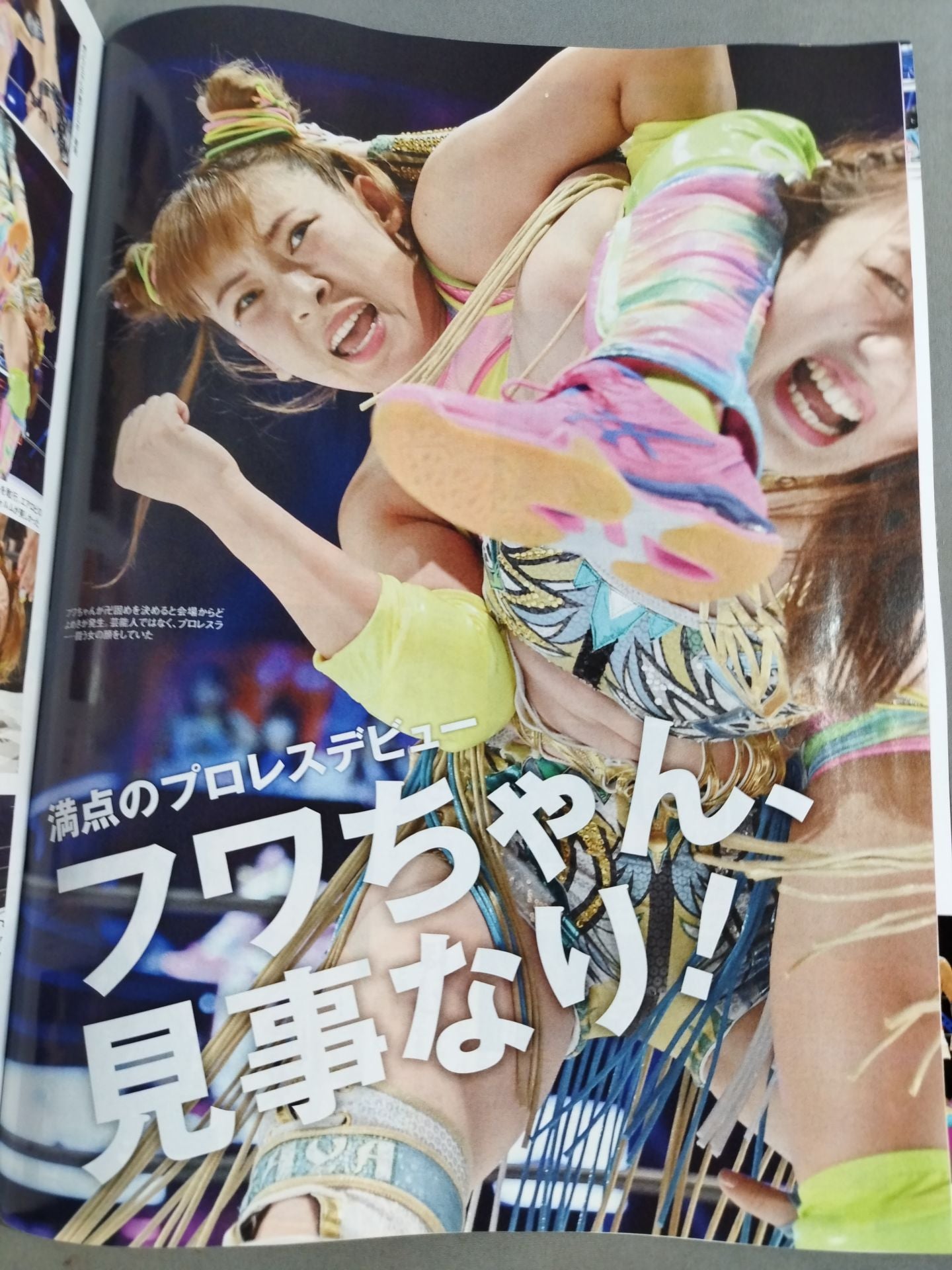 Weekly Pro Wrestling 2212