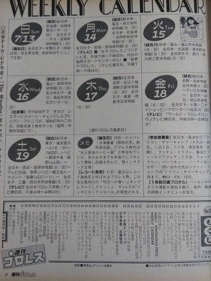 週刊プロレス154