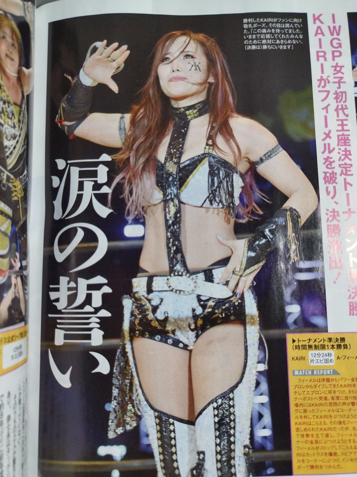 Weekly Pro Wrestling 2212