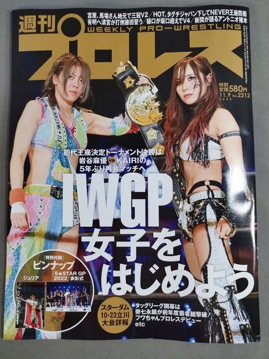 週刊プロレス2212