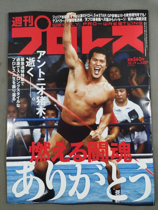 Weekly Pro Wrestling 2207