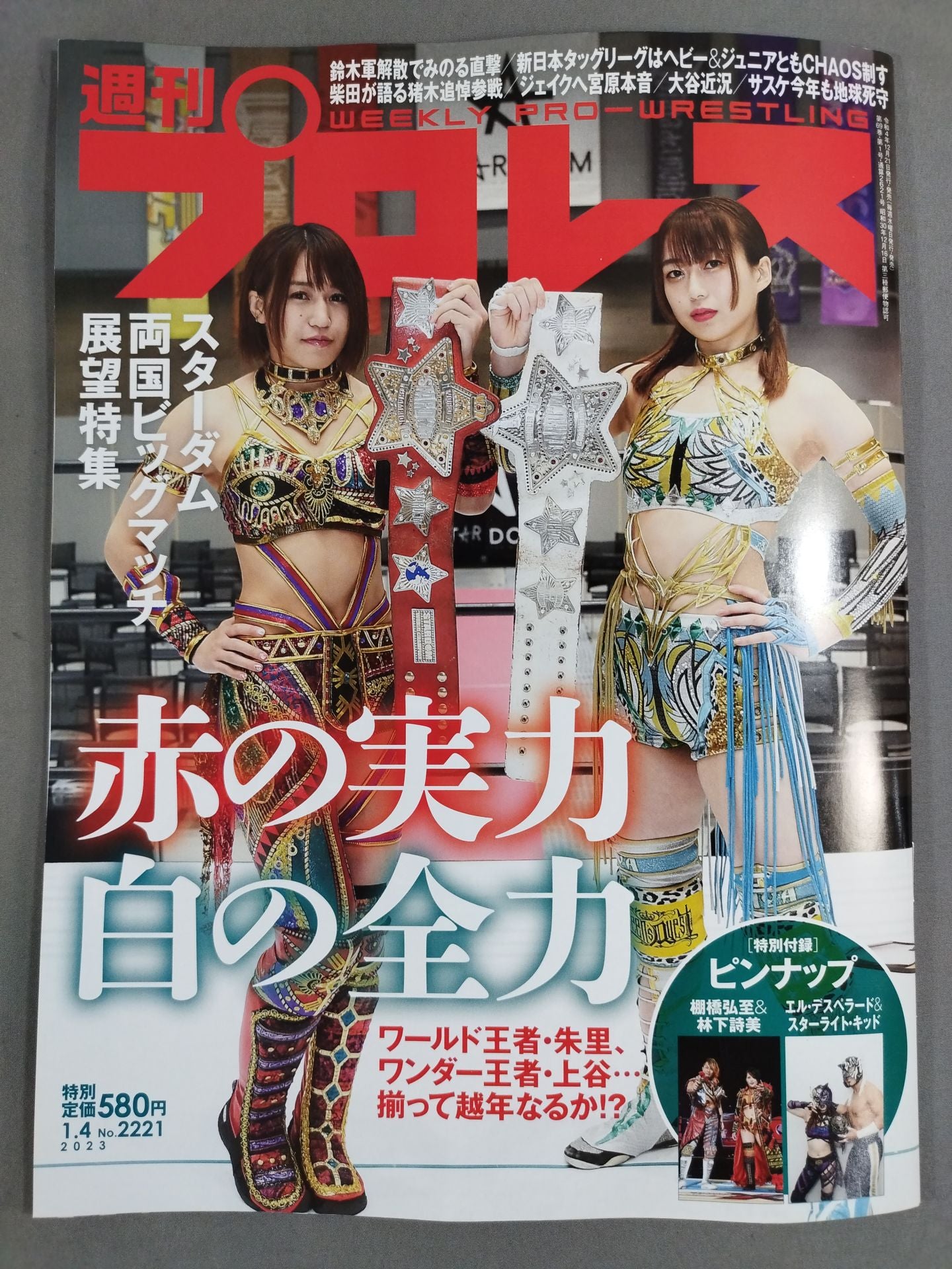 Weekly Pro Wrestling 2221