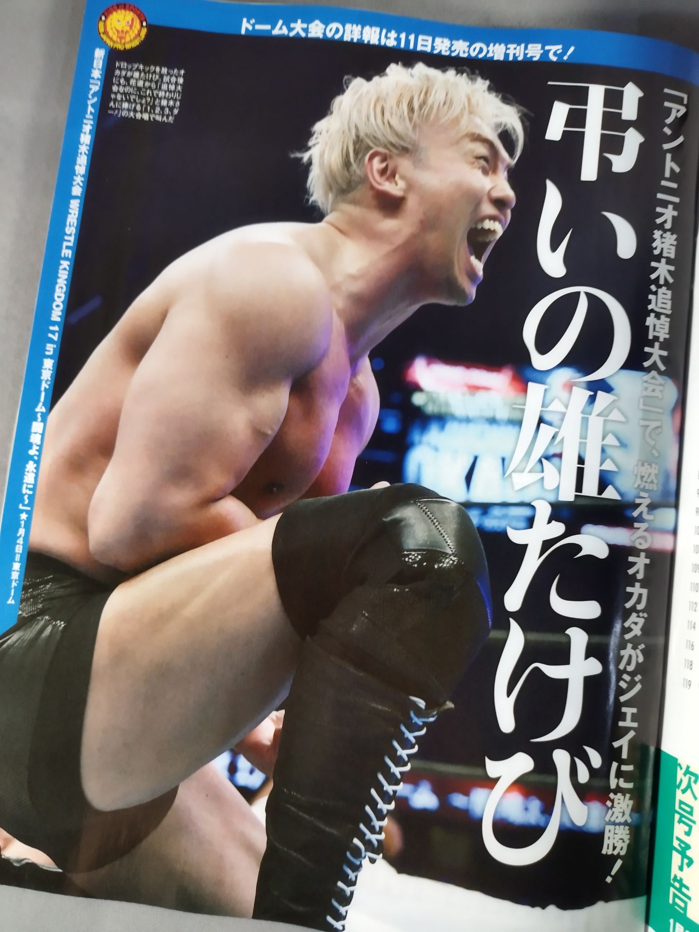 Weekly Pro Wrestling 2223