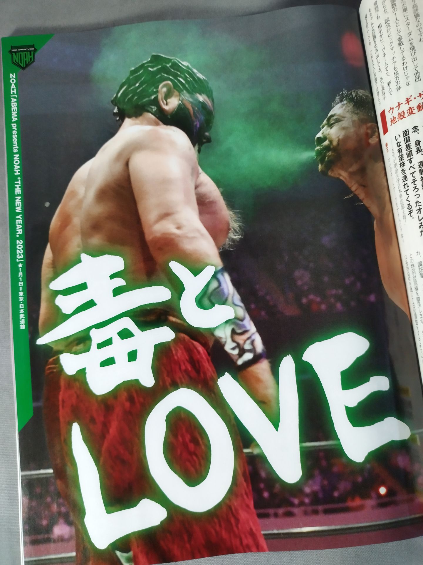 Weekly Pro Wrestling 2223