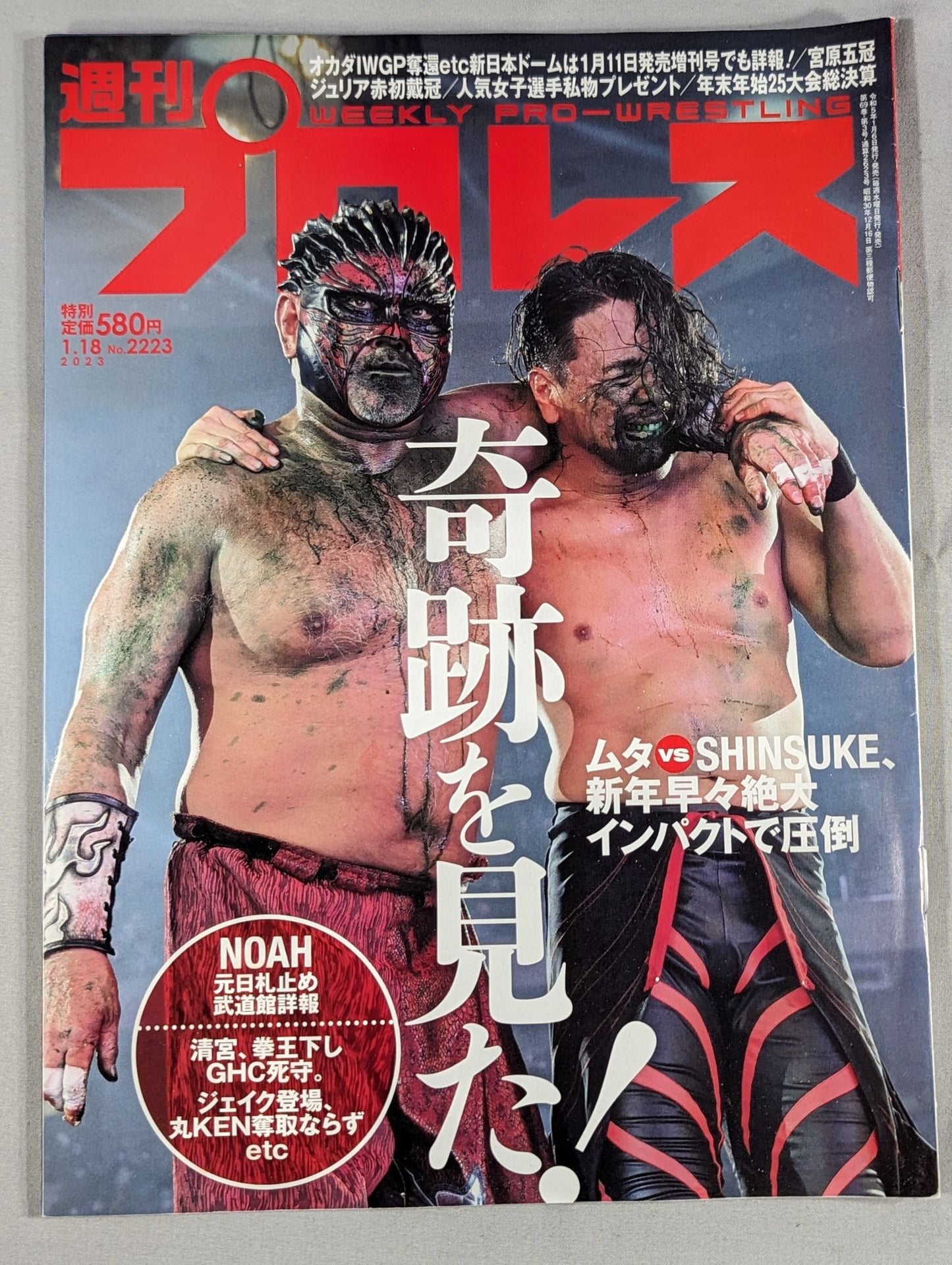 Weekly Pro Wrestling 2223