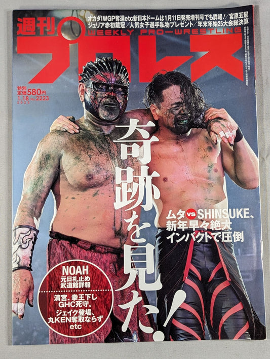Weekly Pro Wrestling 2223