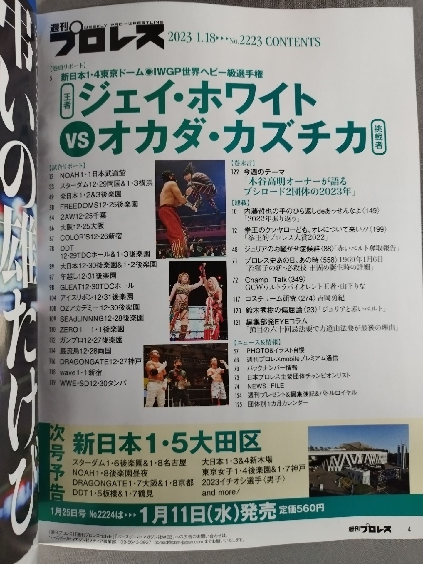 Weekly Pro Wrestling 2223