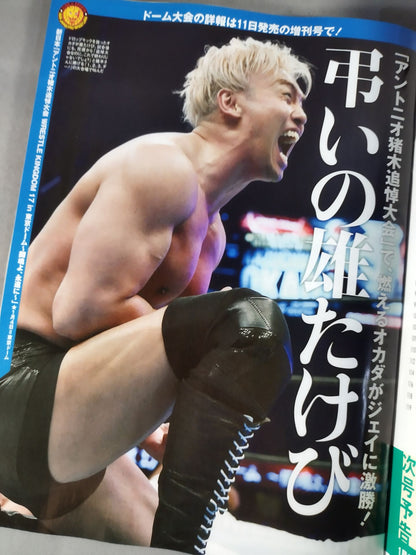 Weekly Pro Wrestling 2223