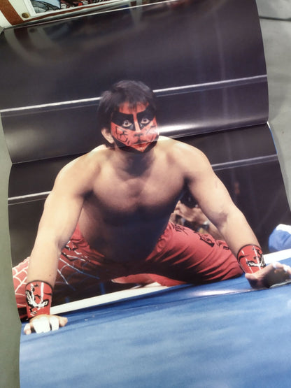 Weekly Pro Wrestling 2227