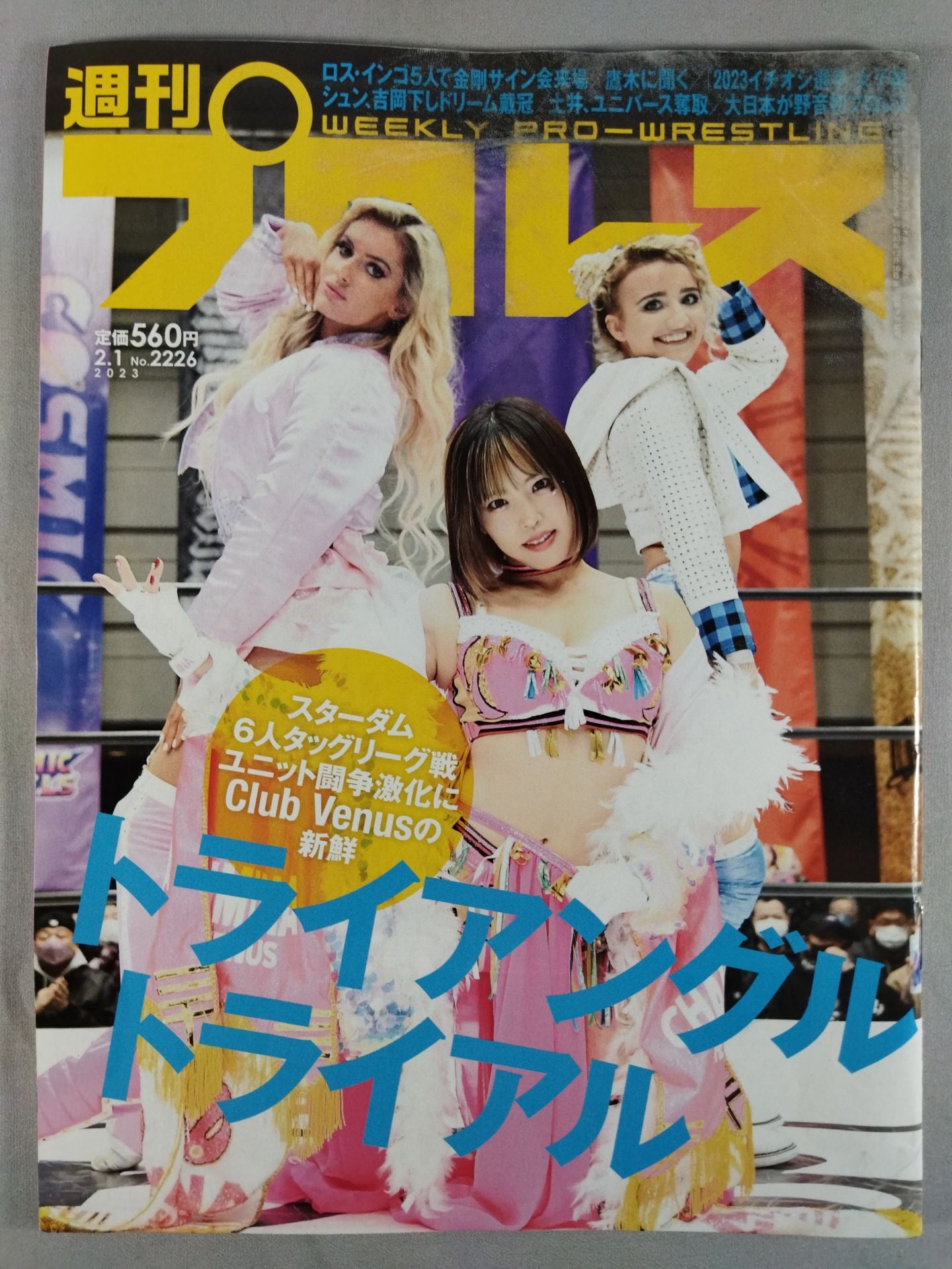 週刊プロレス2226