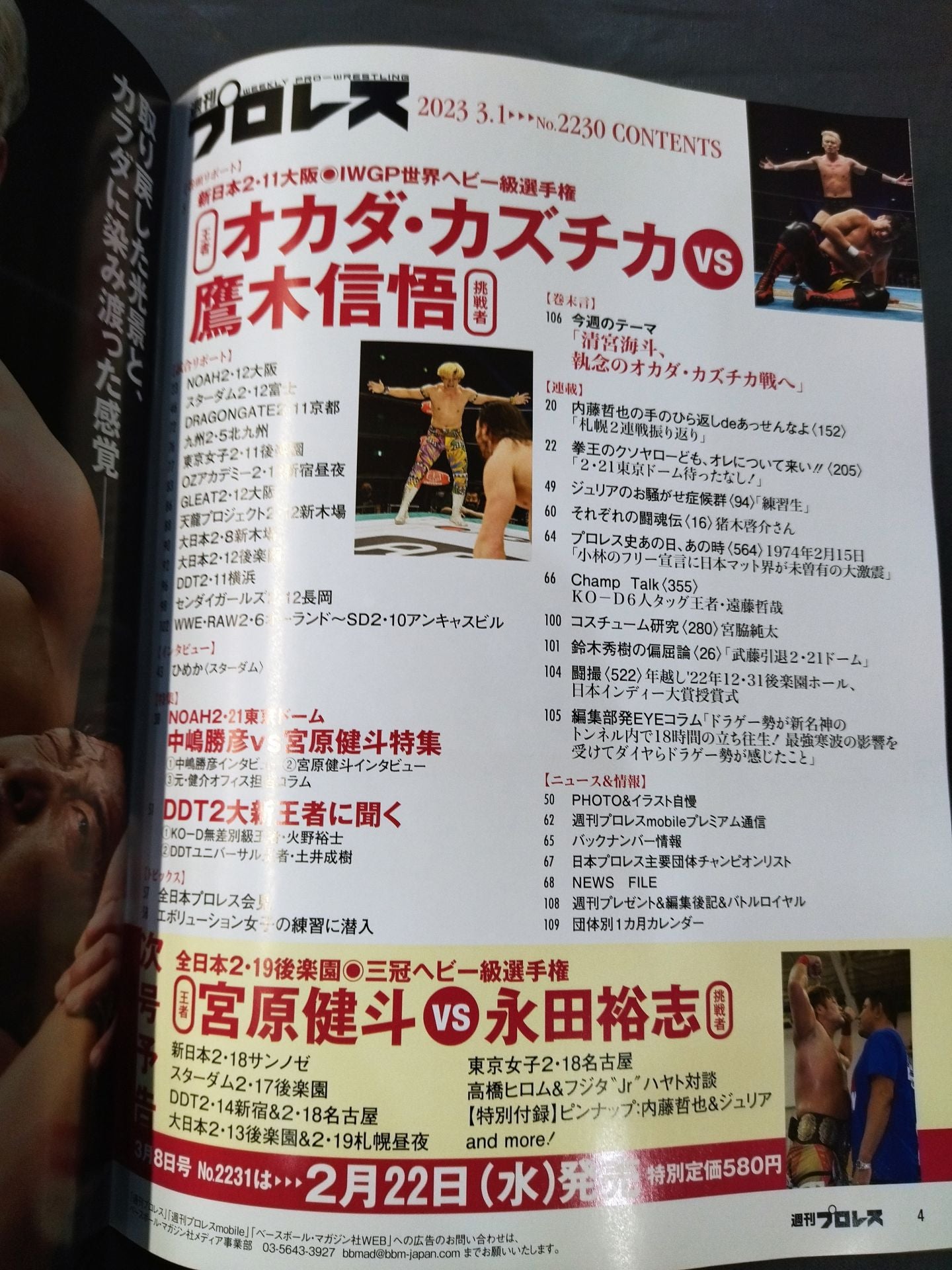 Weekly Pro Wrestling 2230