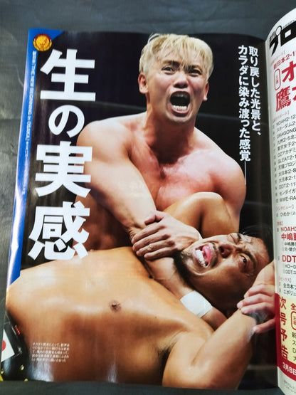 Weekly Pro Wrestling 2230