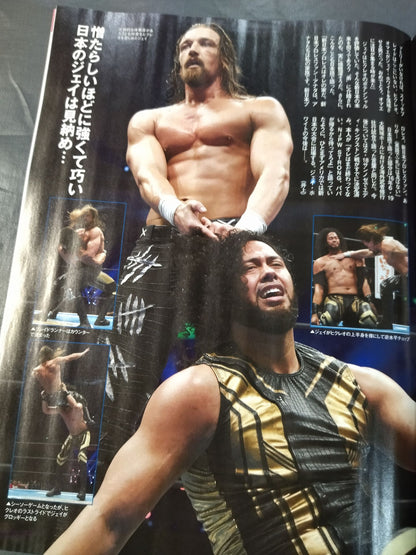 Weekly Pro Wrestling 2230