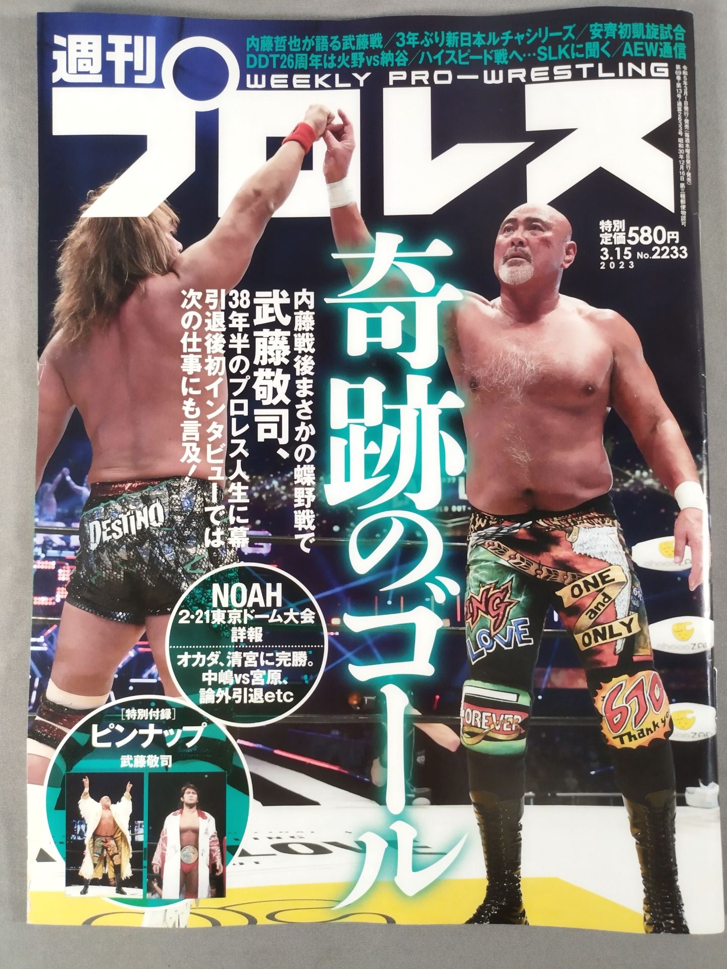Weekly Pro Wrestling 2233
