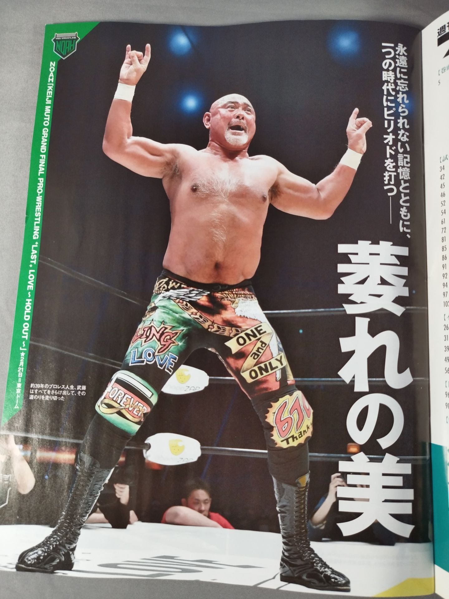 Weekly Pro Wrestling 2233