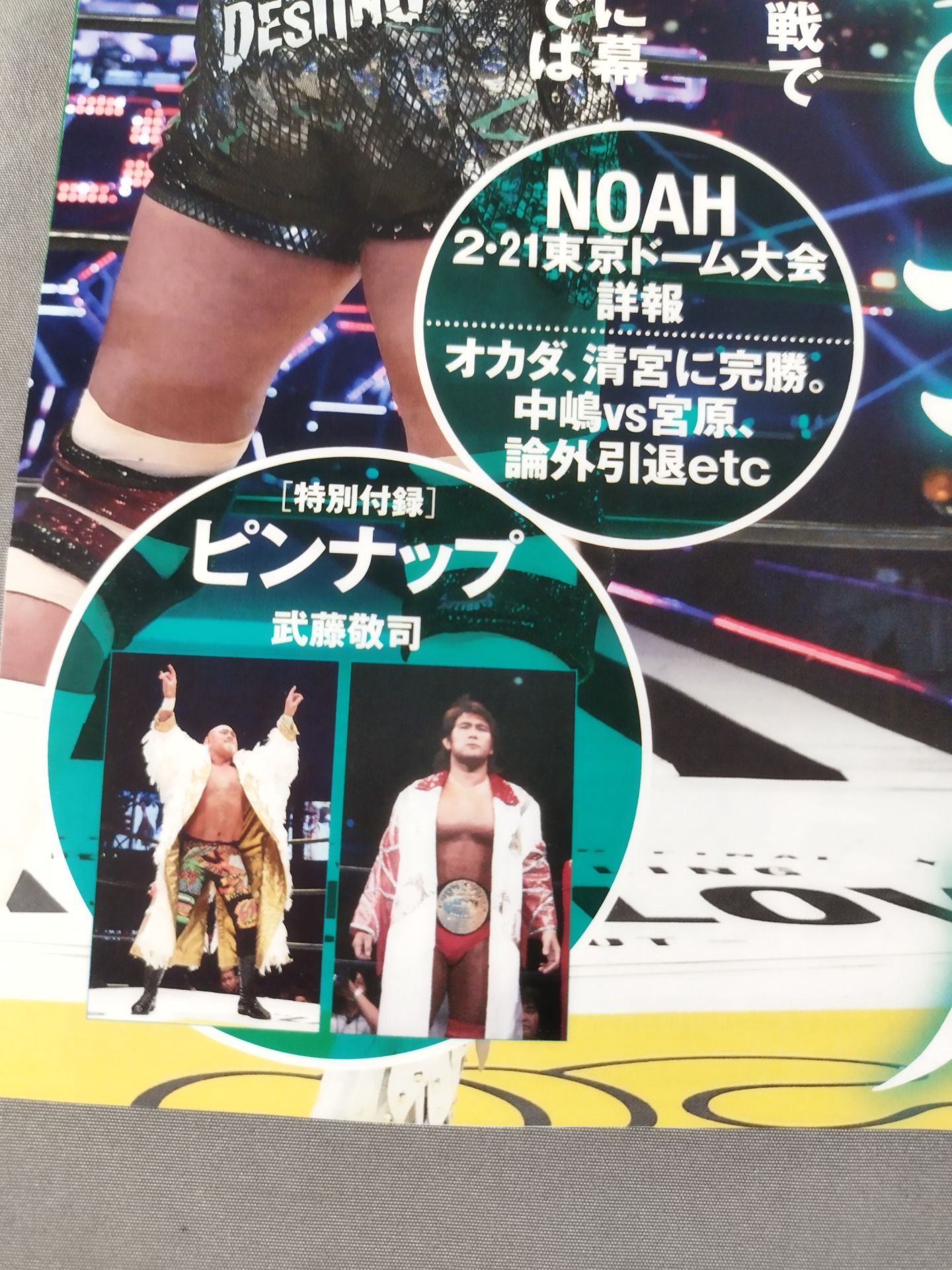 Weekly Pro Wrestling 2233