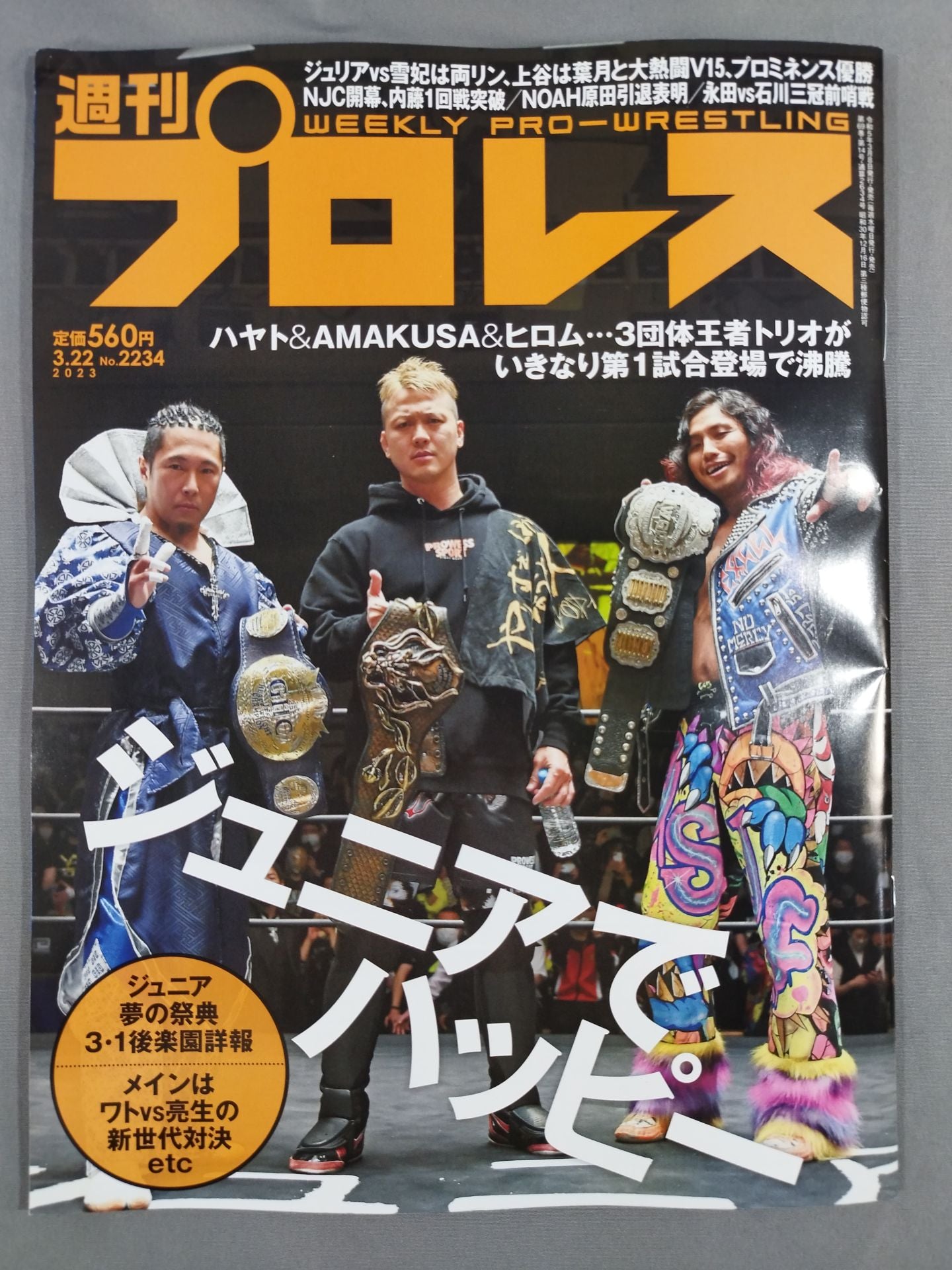 Weekly Pro Wrestling 2234