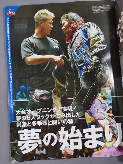 Weekly Pro Wrestling 2234