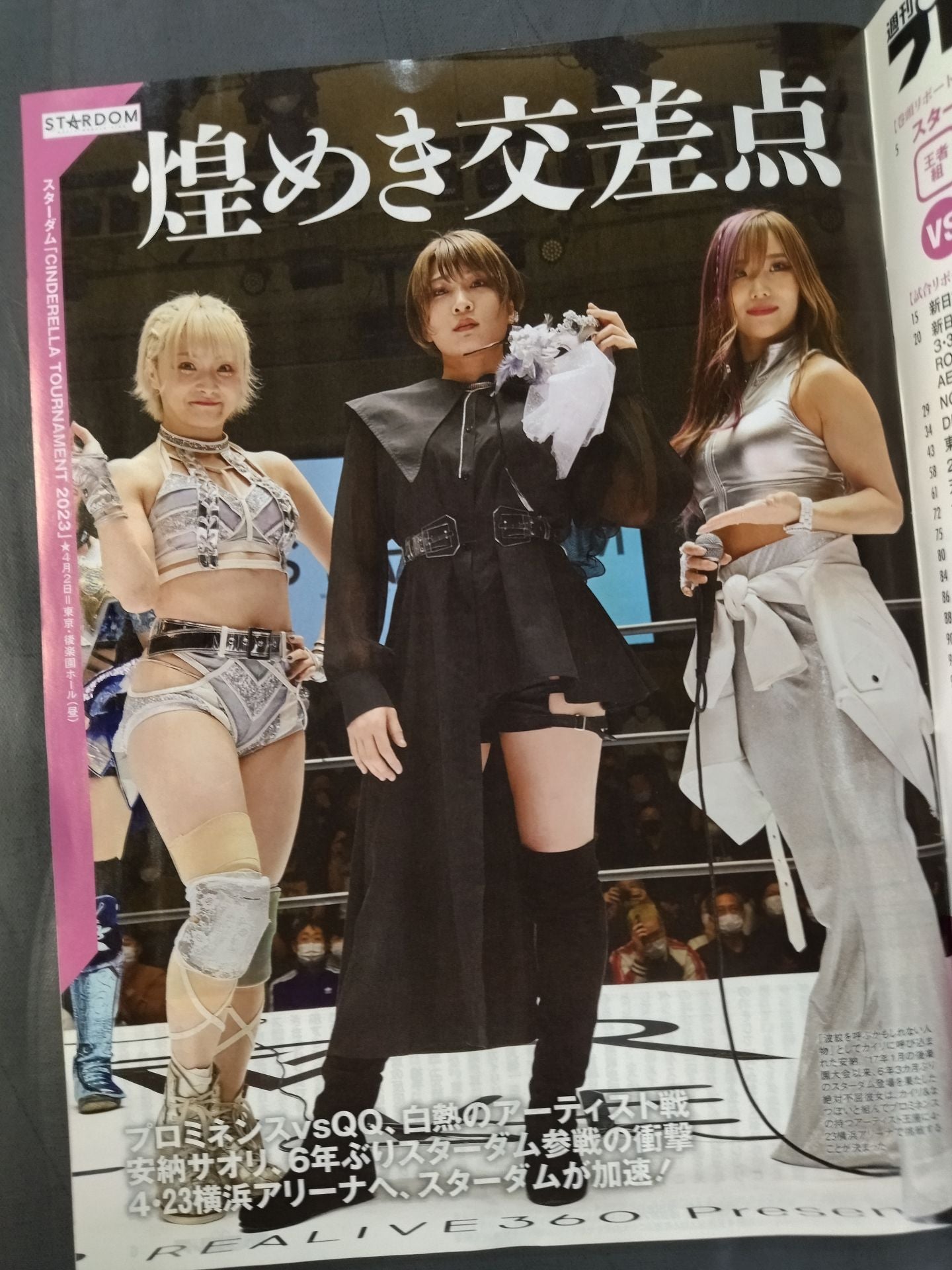 Weekly Pro Wrestling 2238