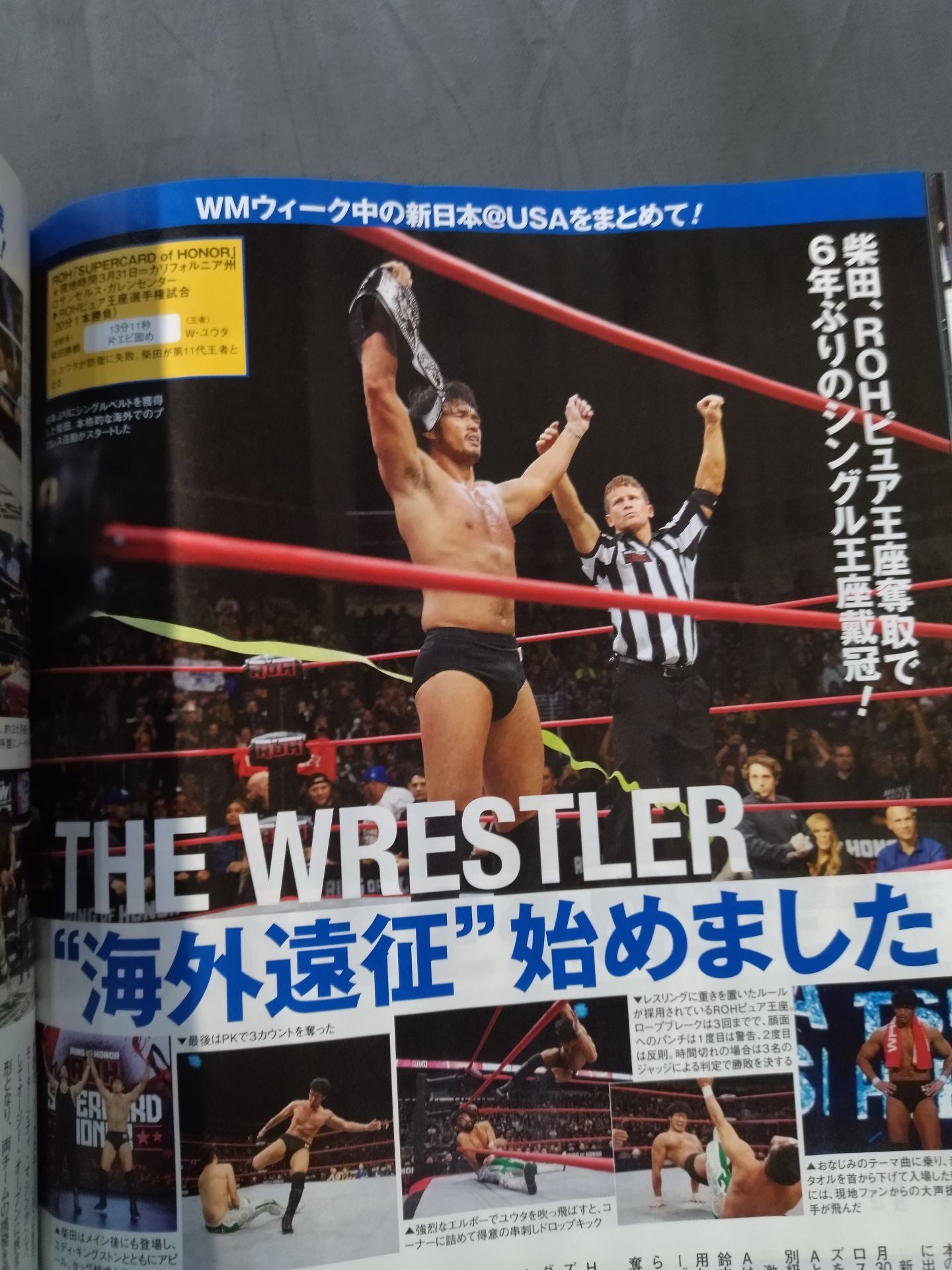 Weekly Pro Wrestling 2238