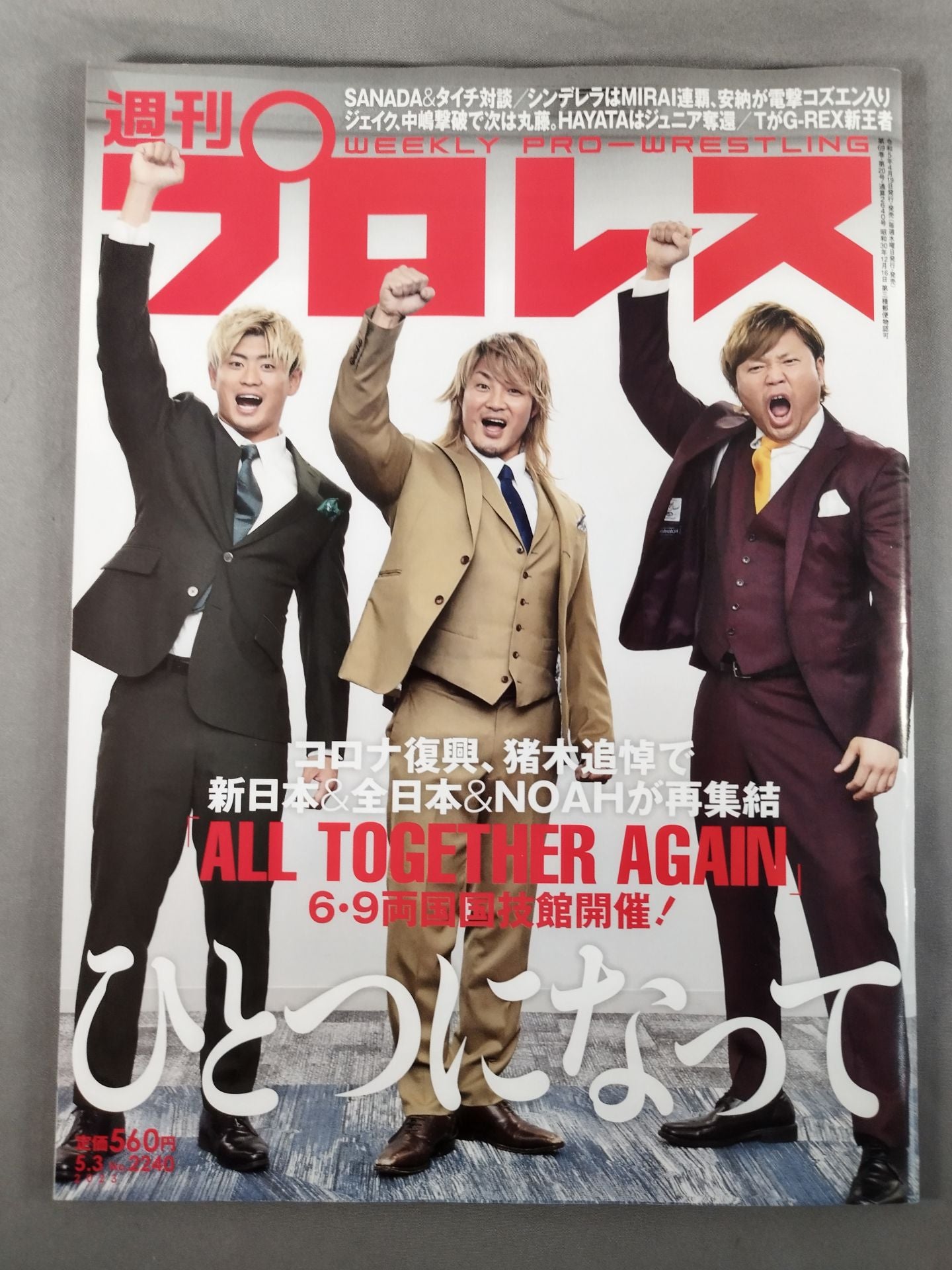 Weekly Pro Wrestling 2240