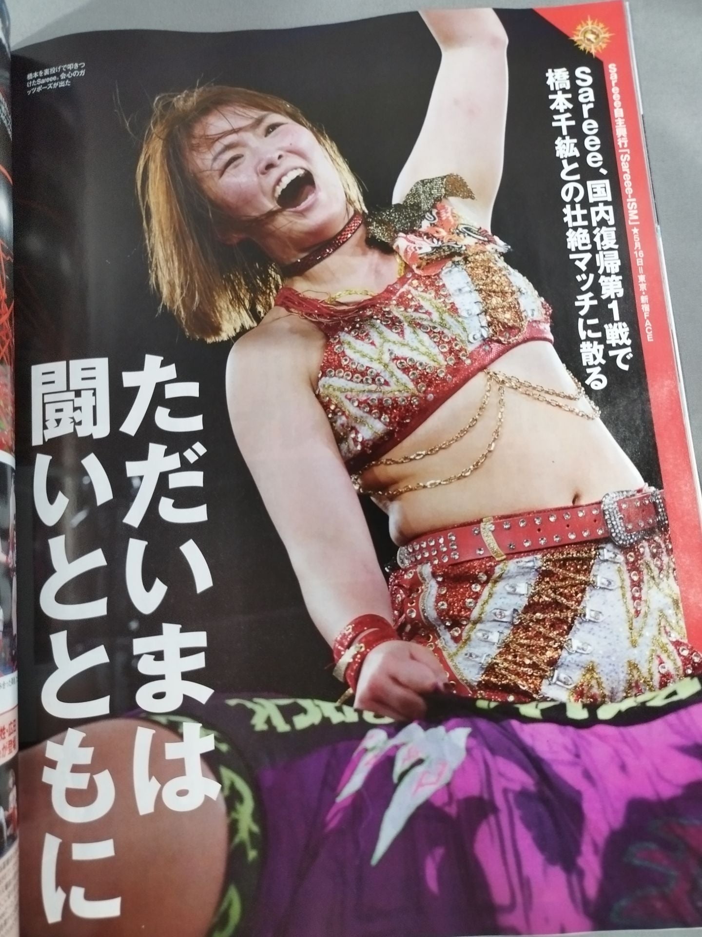 週刊プロレス2246