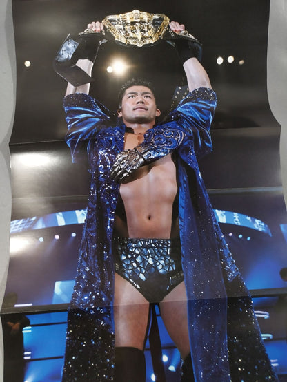 Weekly Pro Wrestling 2246