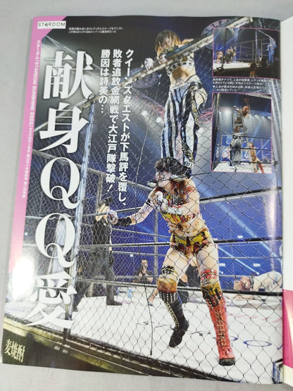 Weekly Pro Wrestling 2251
