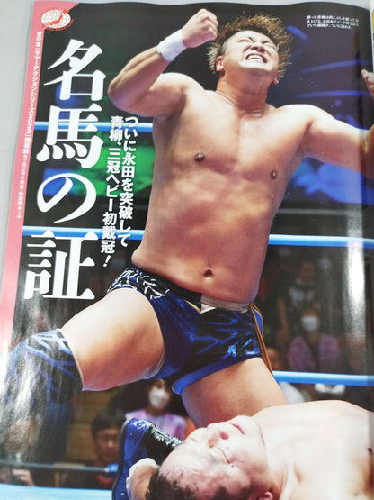 Weekly Pro Wrestling 2252