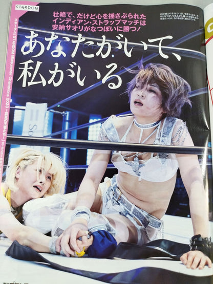 Weekly Pro Wrestling 2252