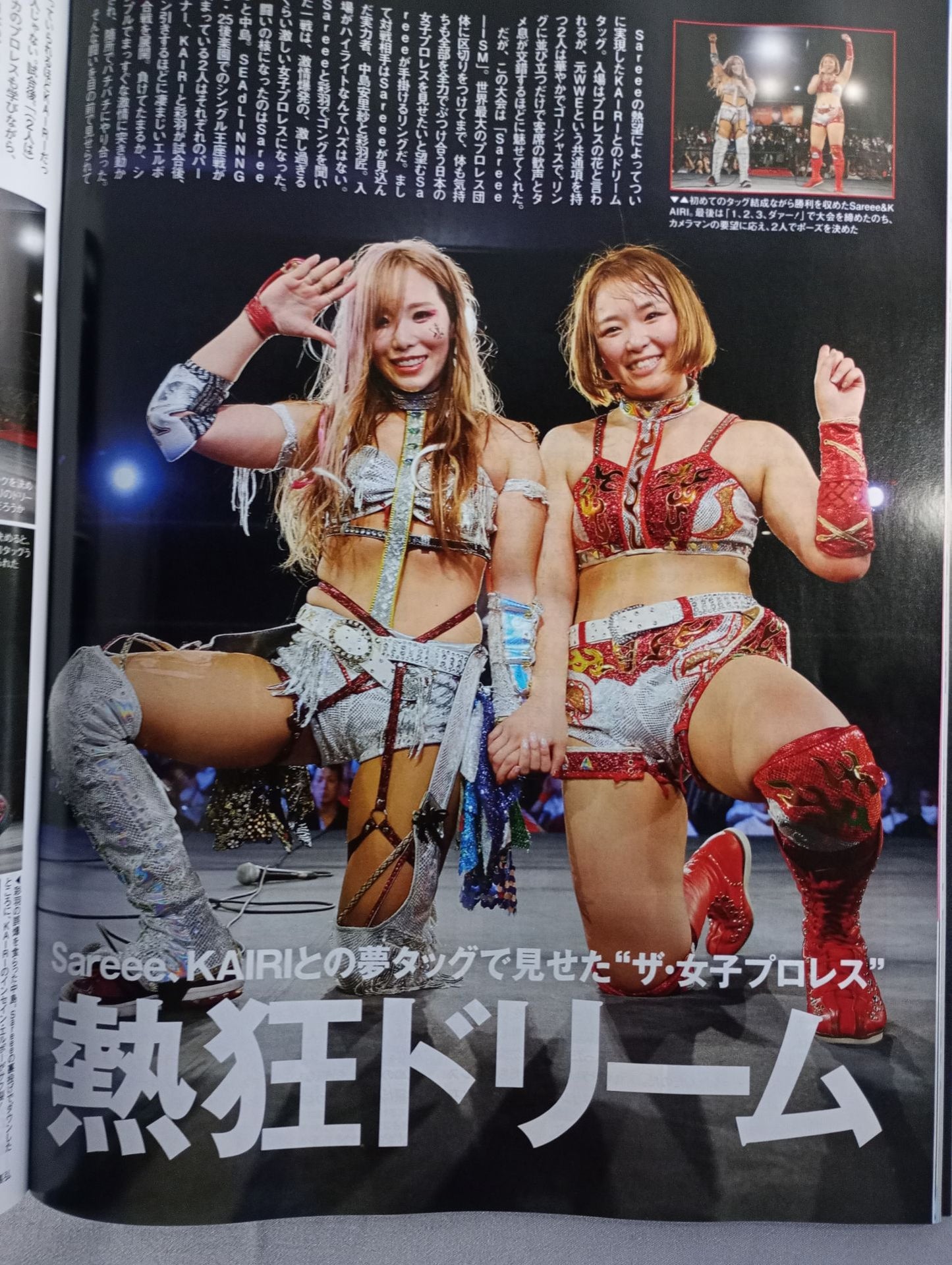 Weekly Pro Wrestling 2257