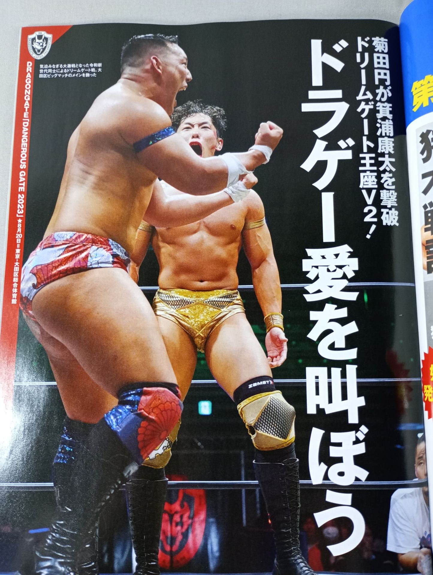 Weekly Pro Wrestling 2260