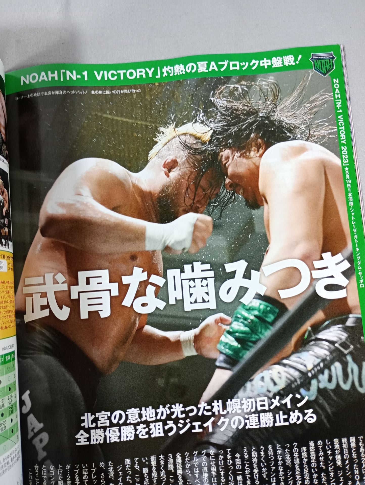 Weekly Pro Wrestling 2260