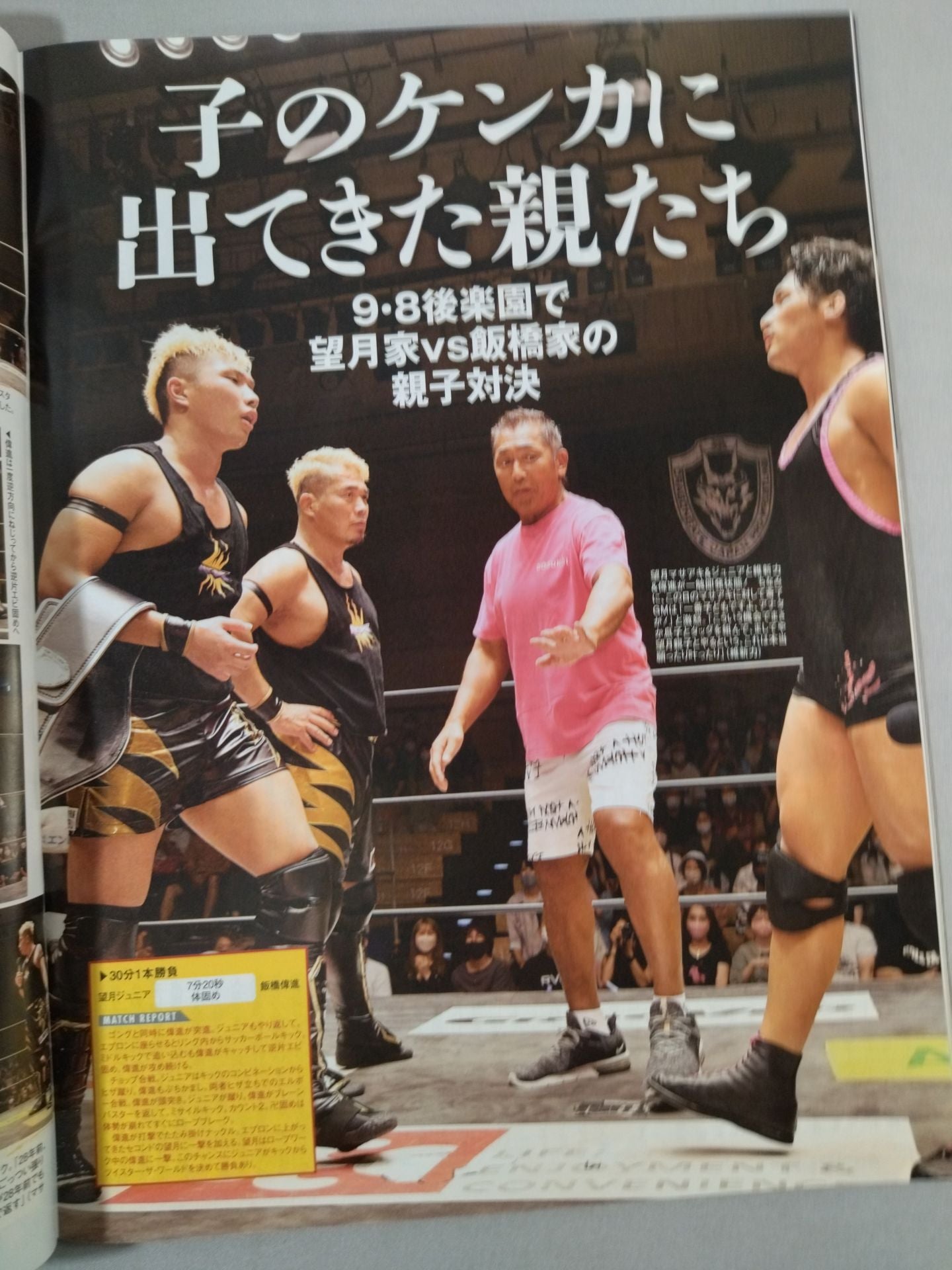 Weekly Pro Wrestling 2198