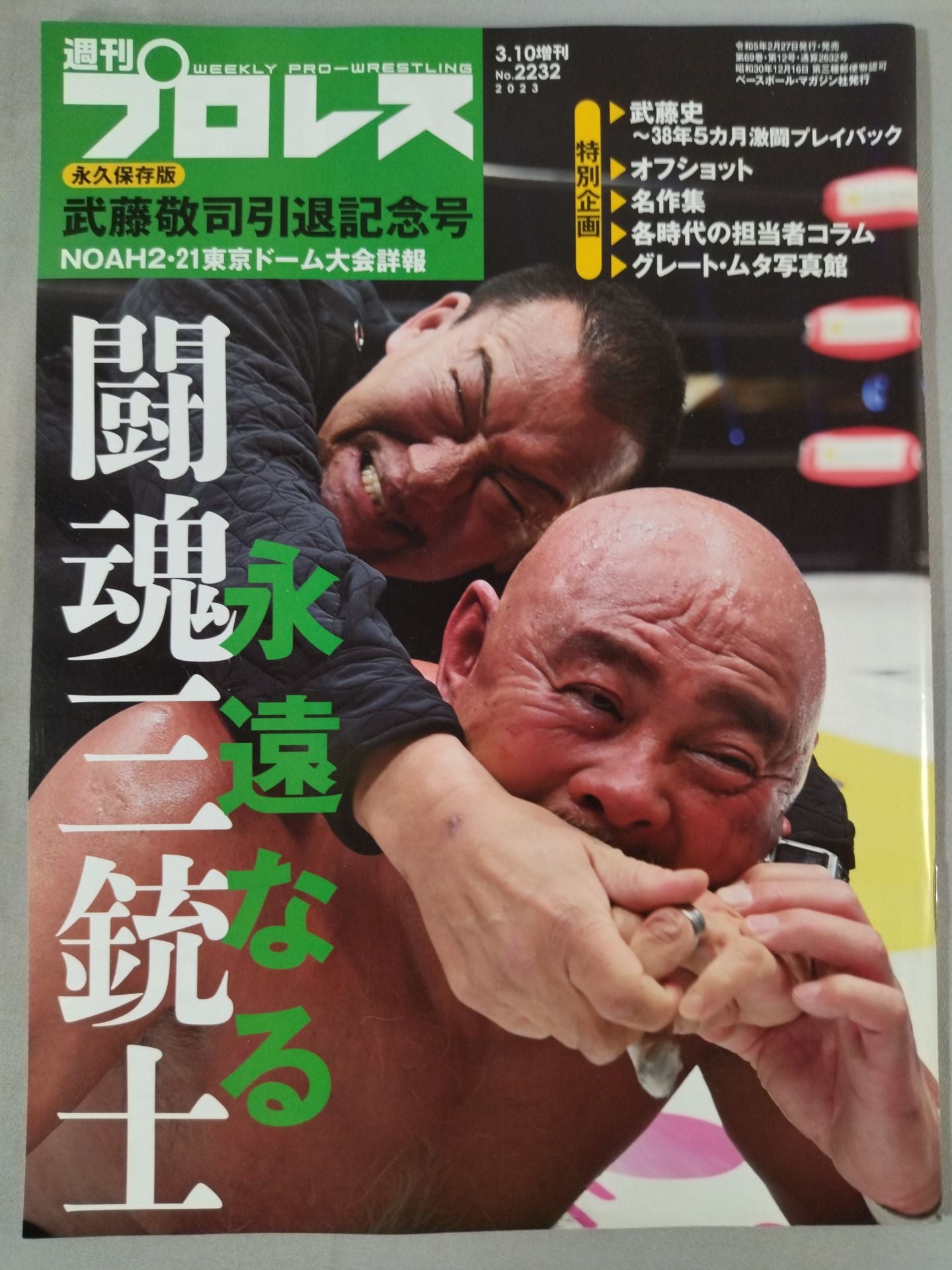 Weekly Pro Wrestling 2232