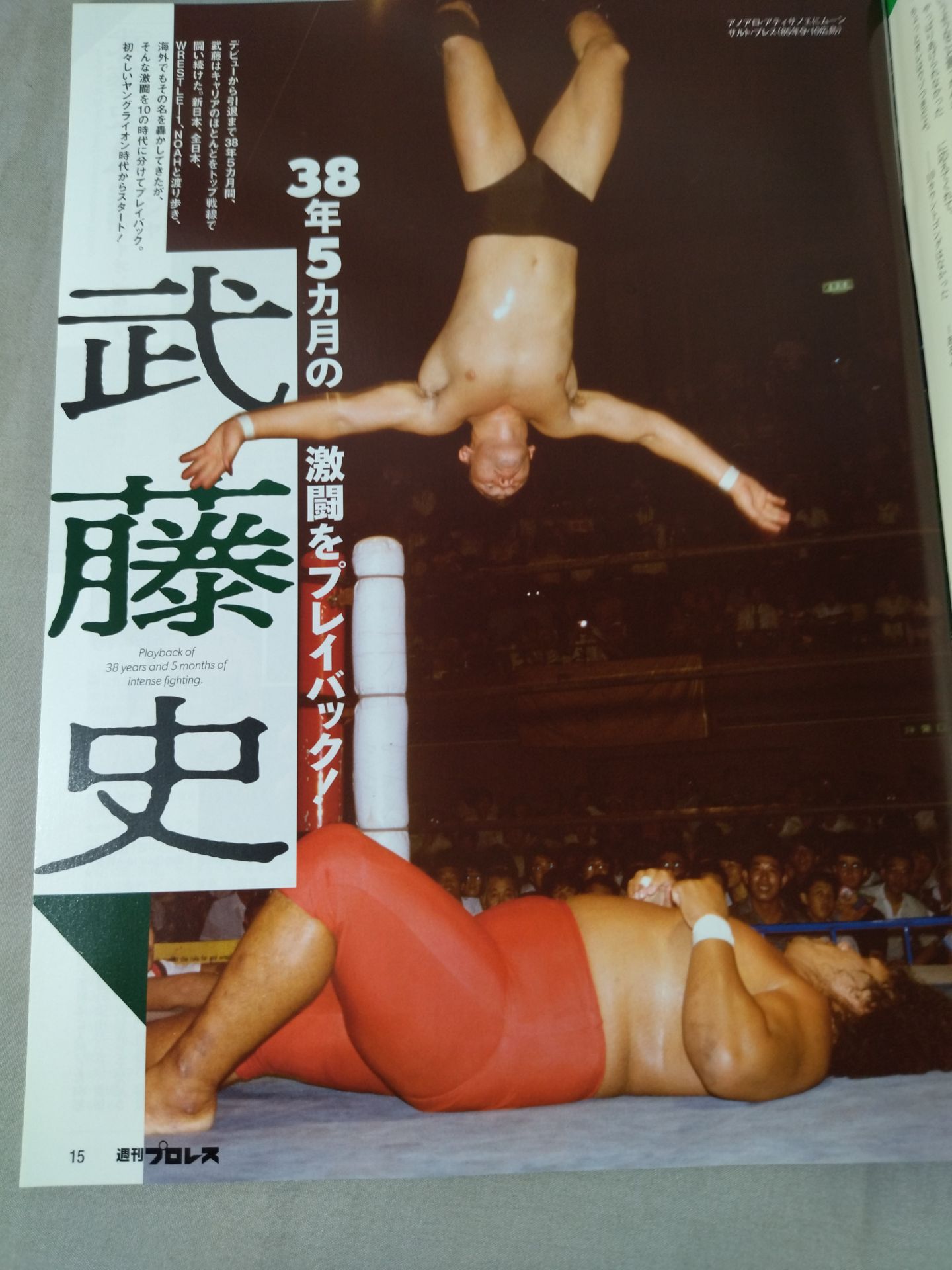 Weekly Pro Wrestling 2232