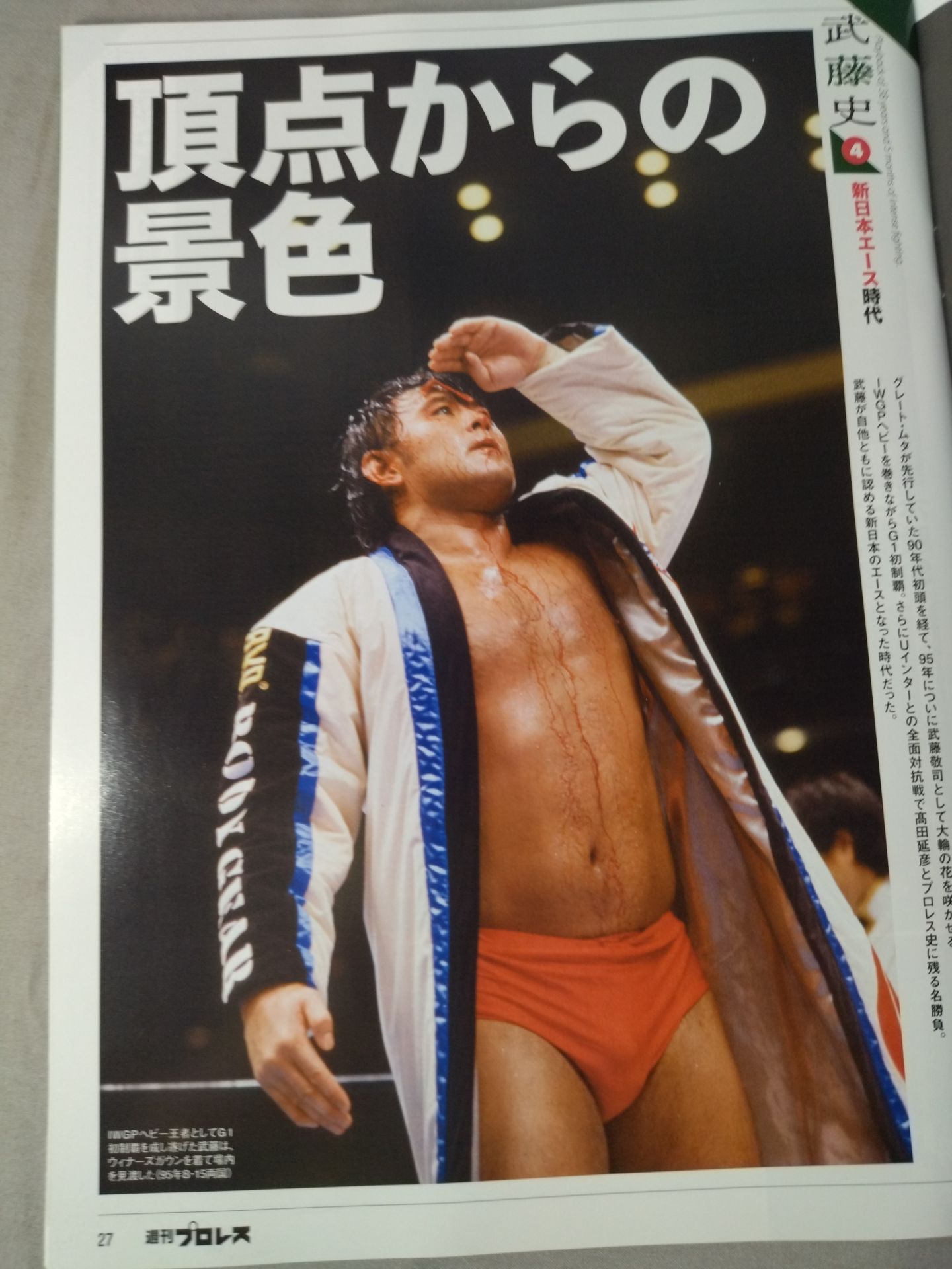Weekly Pro Wrestling 2232