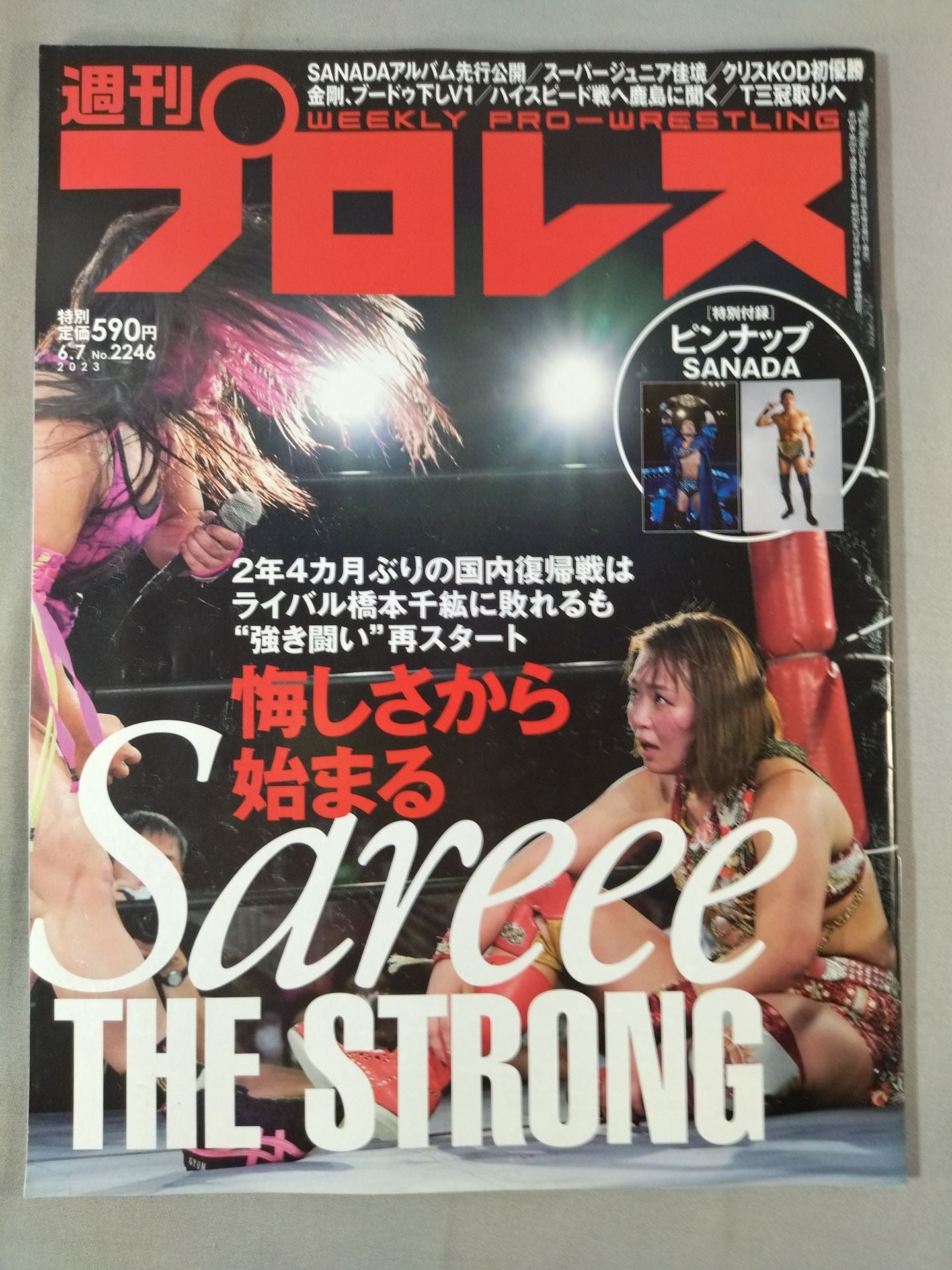 Weekly Pro Wrestling 2246