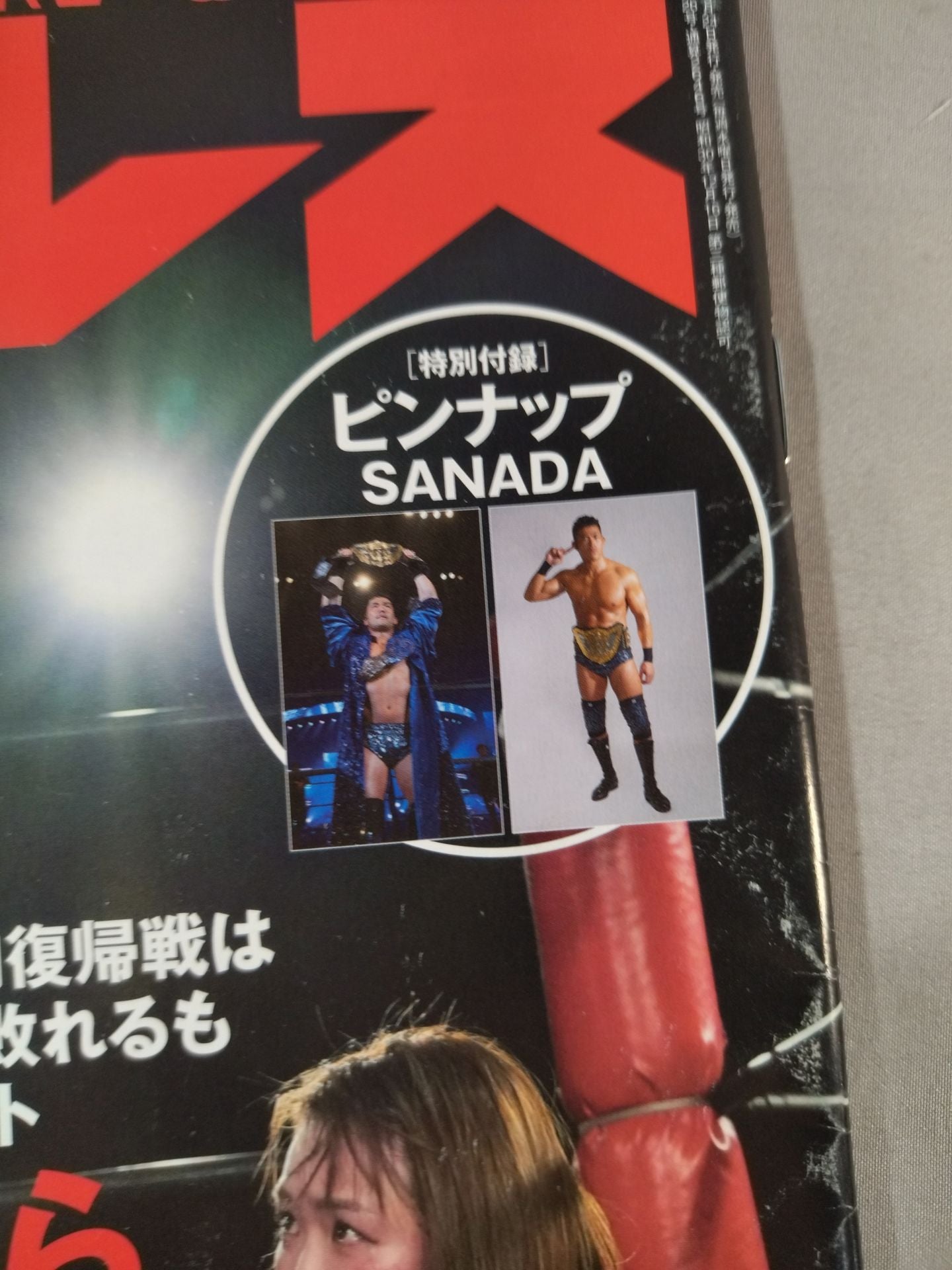 Weekly Pro Wrestling 2246